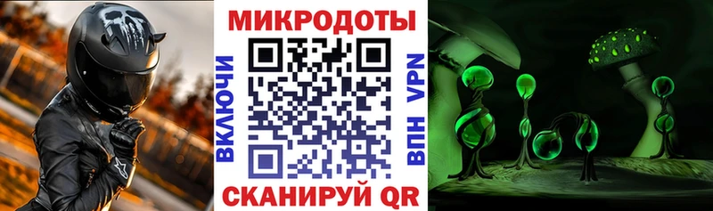 наркота  Сальск  Псилоцибиновые грибы мухоморы 