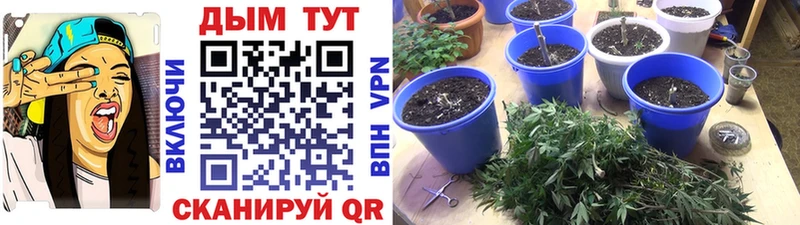 Каннабис THC 21%  ОМГ ОМГ ONION  Сальск 